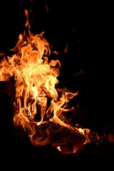 Wood burning in bonfire