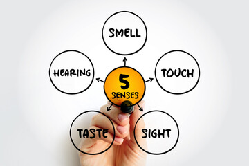 Five basic human senses: touch, sight, hearing, smell and taste,  mind map concept for presentations and reports