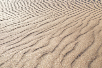 Shiny sand with a wavy pattern, sparkles in the sun, soft focus.