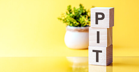 letters of the alphabet of PIT on wooden cubes, green plant on a yellow background. pit - short for...