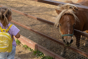 A girl with a backpack watches a cute pony in the enclosure of a petting zoo A girl admires a...