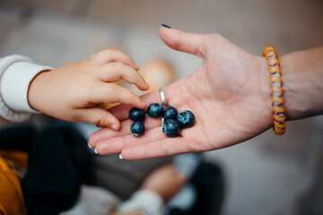 close up view of a mother's hands full of blueberries while a baby picks some