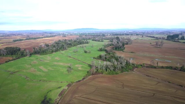 Campo lindo por drone