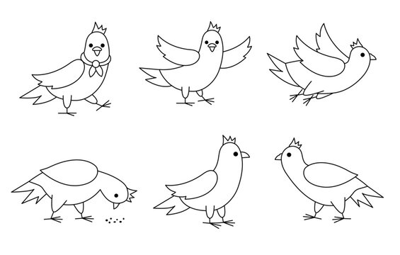 Black and white pigeons set. City bird vector line illustration. Cute character contour icons collection isolated on white background. French symbol picture or coloring page.