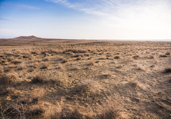 Minimalistic desert at dawn in the vastness of Uzbekistan