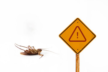 Dead cockroach on floor with caution sign pest control, pest control and exterminator service 