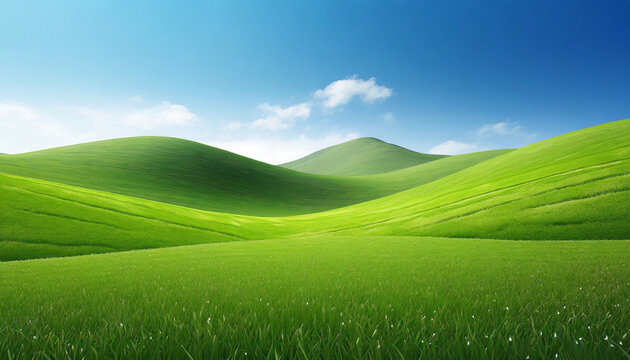 green field with blue sky green grass fields on small hills and blue sky suitable for wallpaper and background illustration ai generative