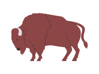 brown color American bison wild nature mammal animal with horned and big strong power dangerous herbivore