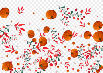 Green Vegetable Background Transparent Vector. Gold Botanical Texture. Burgundy Pumpkin Cozy Card. Leaves Season. Decoration Banner.