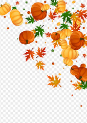 Colorful Vegetable Background Transparent Vector. Green Park Texture. Burgundy Pumpkin Farm Template. Leaf Image. Halloween Border.