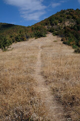 Hiking trails in the hills surrounding Matka Canyon, North Macedonia - obrazy, fototapety, plakaty