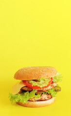Cheeseburger on a yellow background. Juicy tasty burger on a bright background, side view. Fast food. Copy space