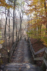 Obraz premium Bridge leading down the mountain side surrounded by trees inviting the cool fall wind
