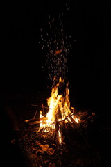 Observe the sparks floating into the night sky from a warm camp fire with red coals 