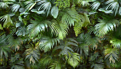 green leaves background. tropical green rain forest with many green. jungle full of plants and trees. wallpaper, background