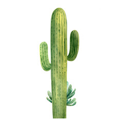 Watercolor Cactus Clipart Illustration. Isolated elements on a white background.