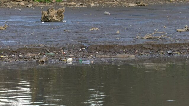 Garbage and plastic waste in the river bed and water - (4K)