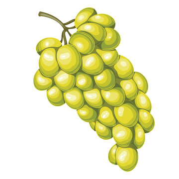 Green Raisins Images – Browse 27,897 Stock Photos, Vectors, and Video ...
