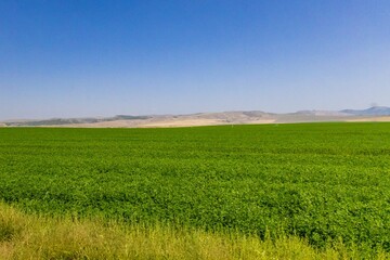 Fototapeta premium Beautiful scene of a big farm landscape under a cloudless sky