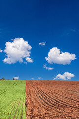Landscape with cultivated land with blue sky and clouds.