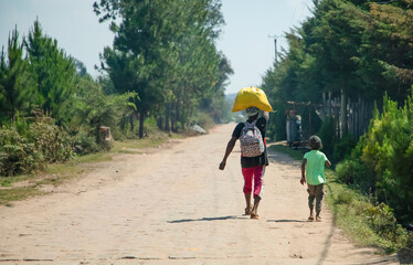 Obraz premium Typical Madagascar landscape view