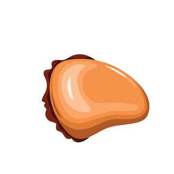 Mussel vector illustration. Cartoon isolated top view of one bivalve mollusc without shell, delicatessen seafood and delicacy for cooking restaurant or home menu dishes, fresh raw single mussel