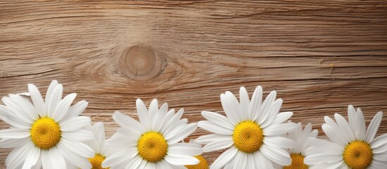 Fototapeta premium The abstract flower pattern with a yellow petal and a chamomile in the center adds a touch of beauty to the summer background with a textured wood frame placed on a table