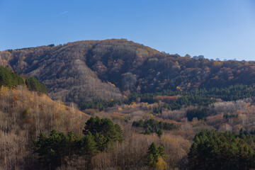 Mountain landscape with autumn forest