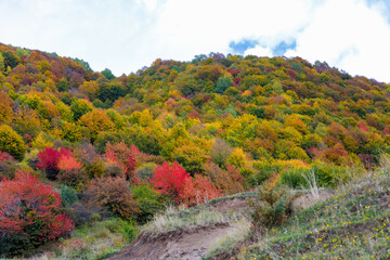 Warm autumn in the mountains covered with bright autumn trees. Colorful landscape.