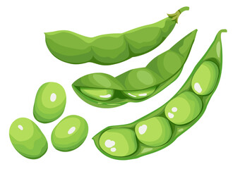 Edamame Soybeans Hand Drawn Vector Illustration Set