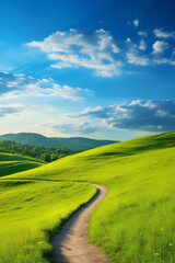 Fototapeta premium Panoramic spring landscape - picturesque winding path through a green grass field in hilly landscape with blue sky