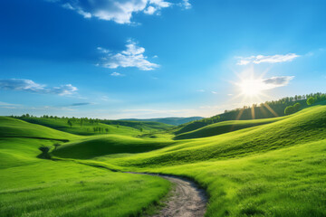 Fototapeta premium Panoramic spring landscape - picturesque winding path through a green grass field in hilly landscape with blue sky