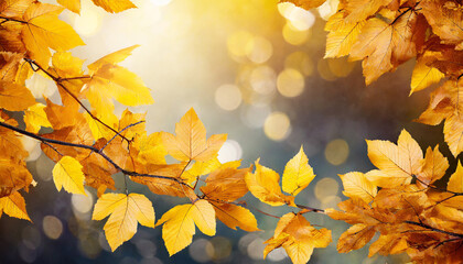 Naklejka na ściany i meble abstract nature autumn background with yellow leaves
