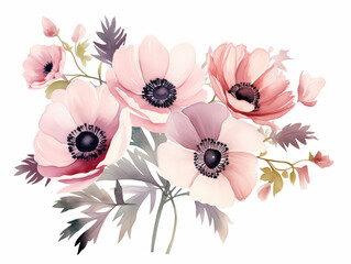 Watercolor illustracion of bouquet of  anemones flowers in delicate rose serene colors on white background isolated