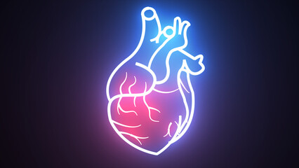 Human blood circulation system heartbeat anatomy concept. Neon human heart  icon © Zen Z