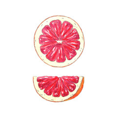 Watercolor set of grapefruit, red orange hand-painted in botanical style, for holiday, wedding, and food design. Clipart citrus tropical illustration