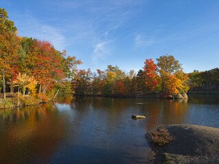 Vibrant autumn colors at Coe Lake in Berea, Ohio, on a sunny late afternoon - obrazy, fototapety, plakaty