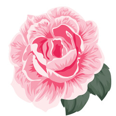 pastel pink peony rose with two green leaves, vector illustration