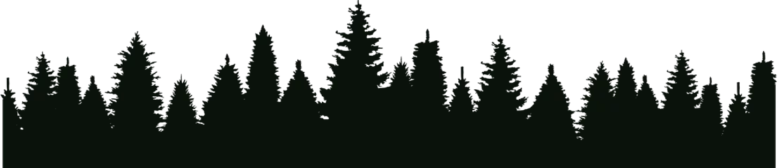 Fotobehang Silhouette of Christmas trees. Vector silhouette of forest trees. Abstract forest vector background on transparent background. Vector EPS 10 © The Best Stocker