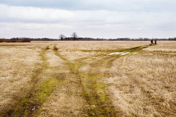 The intersection of the paths. A meadow with dry grass and puddles, with people walking into the distance and with intersecting roads in early spring against the sky. Spring landscape
​