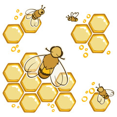 bees and honeycomb