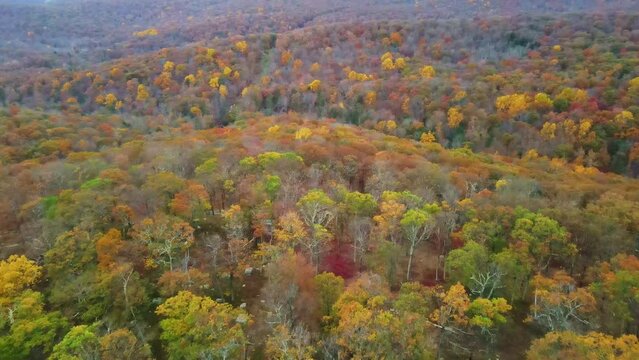 Scenic aerial overview of upstate New York foliage Hudson Valley