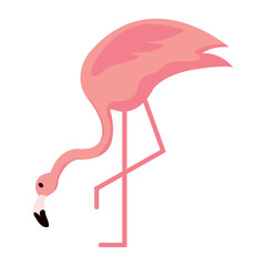 Isolated cute flamingo character Vector