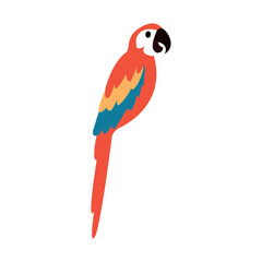 Isolated cute colored parrot cartoon character Vector