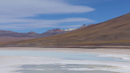 Bolivia, Verde Lagoon, Avaroa National Park. A desert area next to a lake with green toxic water.