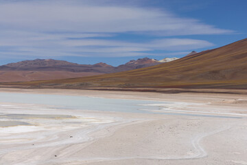 Bolivia, Verde Lagoon, Avaroa National Park. A desert area next to a lake with green toxic water.