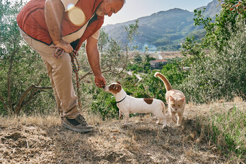 Mature gray haired man spending time outdoors with his cat and small cute Jack Russell Terrier in...