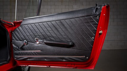 Passenger door panel
