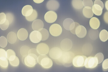 A photo filled with amazing bokeh.