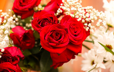 colorful flowers in full bloom, a symbol of nature's beauty and diversity